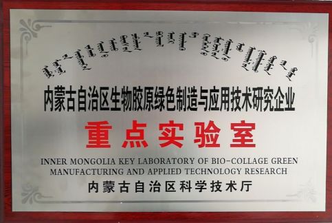 ���ɹ���������ҵ�ص�ʵ����