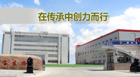 �ڴ����д������� �����ٷ����ﱻ���衰���ɹ����ֺš��ƺ�